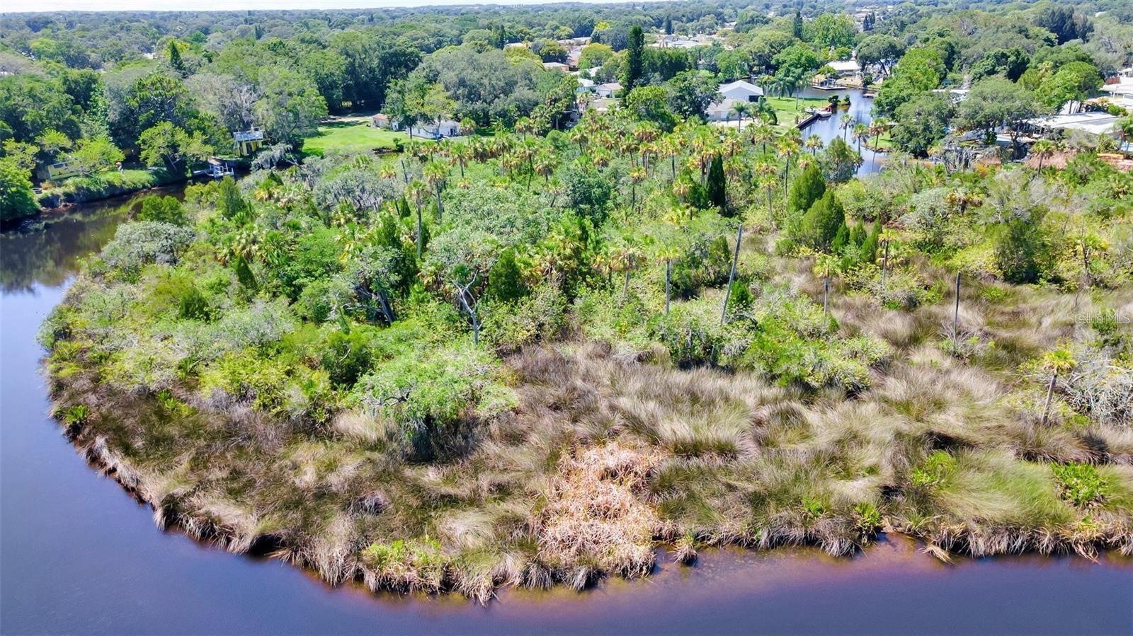 TAMPA TARPON SPGS LAND CO - Land