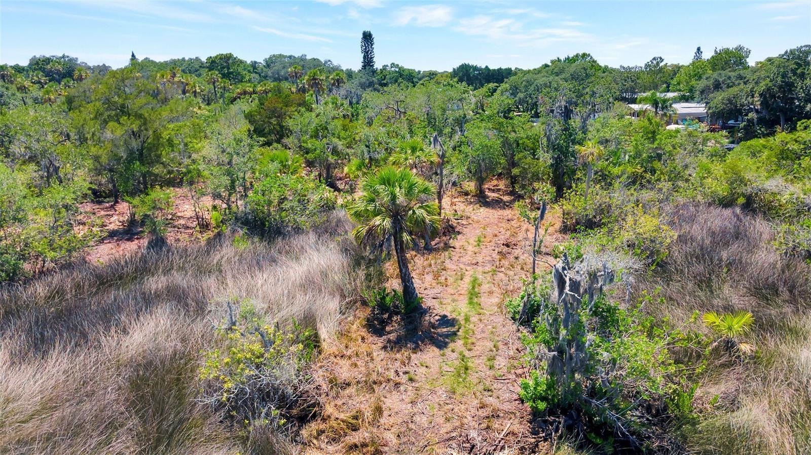 TAMPA TARPON SPGS LAND CO - Land
