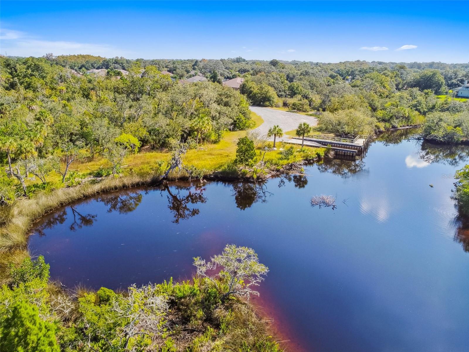 TAMPA TARPON SPGS LAND CO - Land