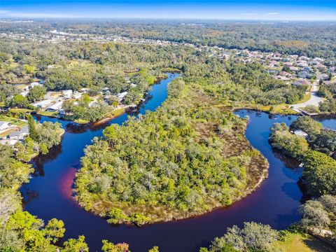 0 JAPONICA COURT NEW PORT RICHEY FL 34655