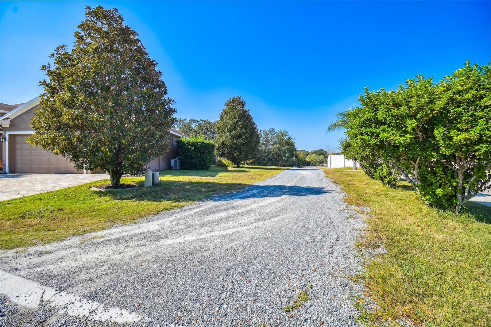 TAMPA TARPON SPGS LAND CO - Land