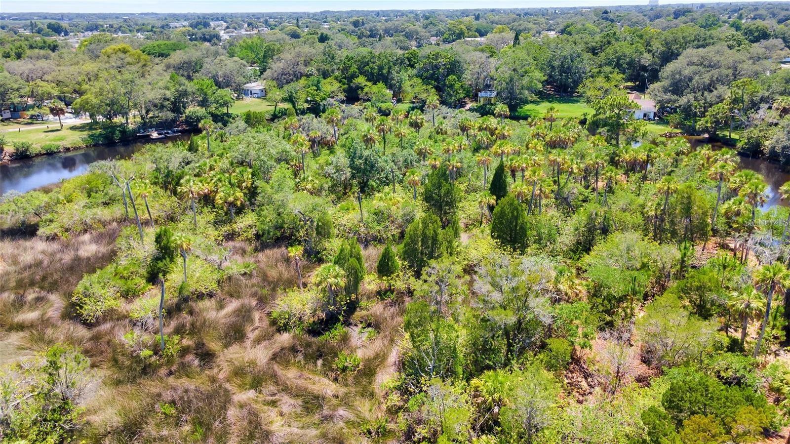 TAMPA TARPON SPGS LAND CO - Land