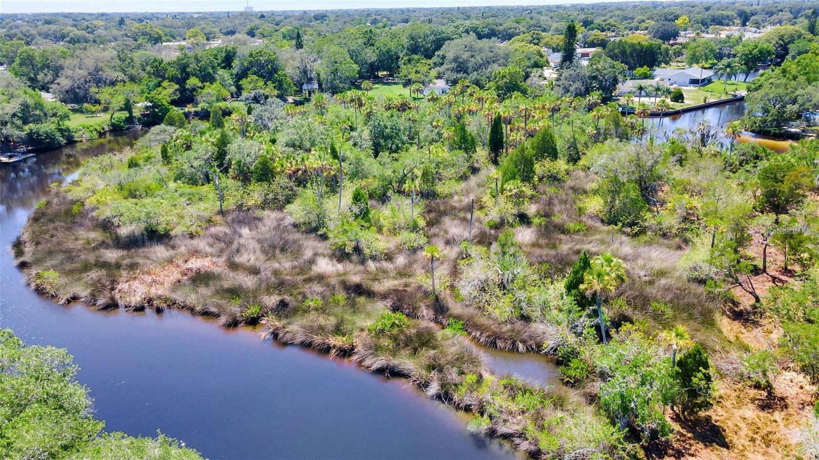 TAMPA TARPON SPGS LAND CO - Land