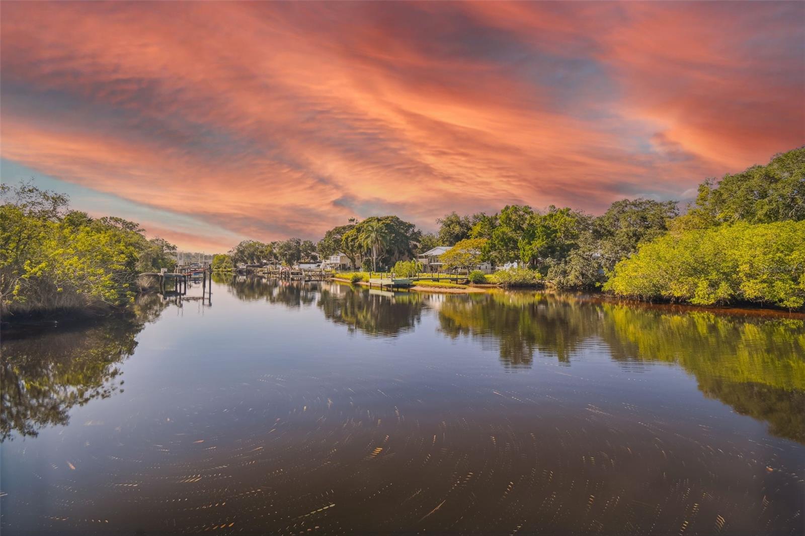 TAMPA TARPON SPGS LAND CO - Land