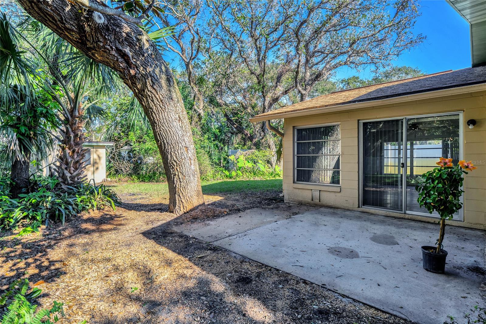 New Smyrna Beach - Residential