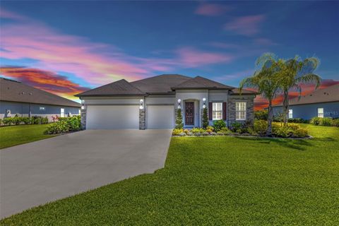 Single Family Residence in PARRISH FL 1914 TWIN RIVERS TRAIL.jpg