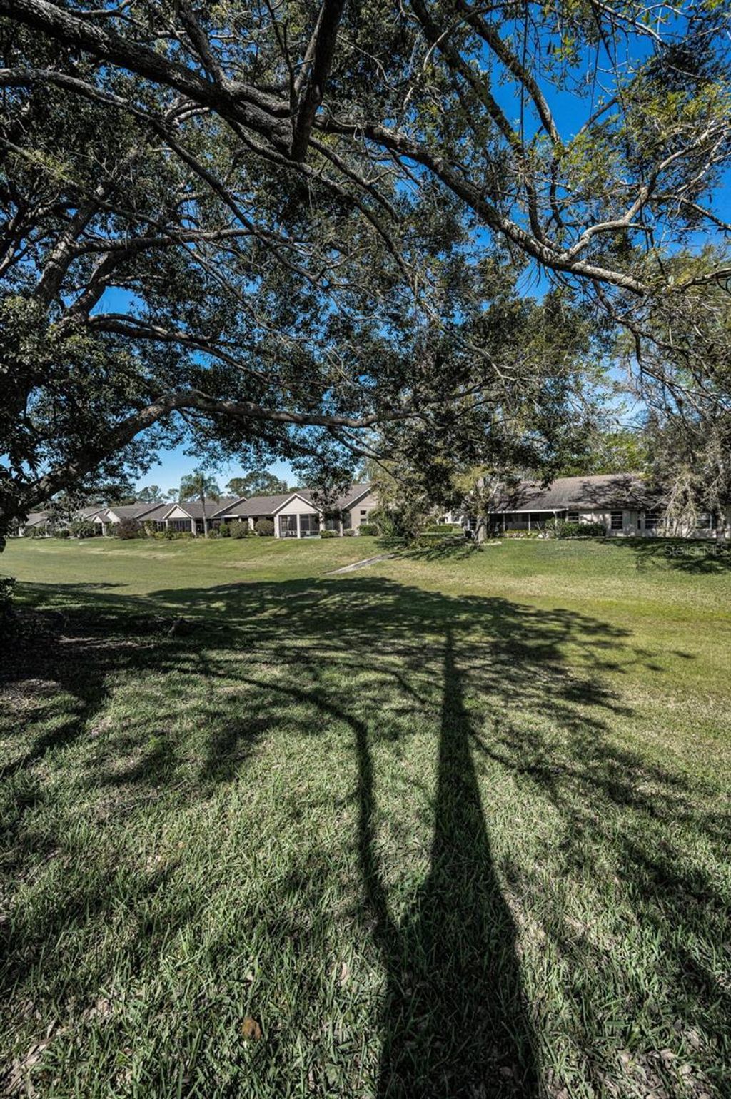 listing image 43