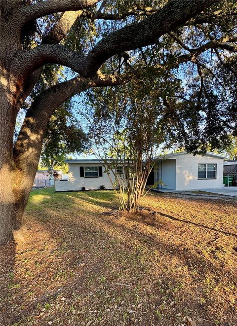 Photo of 10623 N 25th Street, Tampa, FL 33612 (MLS # TB8447949)
