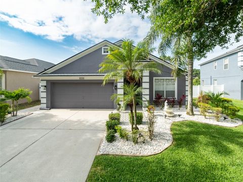 8508 CANTERBURY LAKE BOULEVARD TAMPA FL 33619