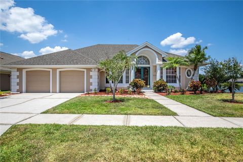 A home in ORLANDO