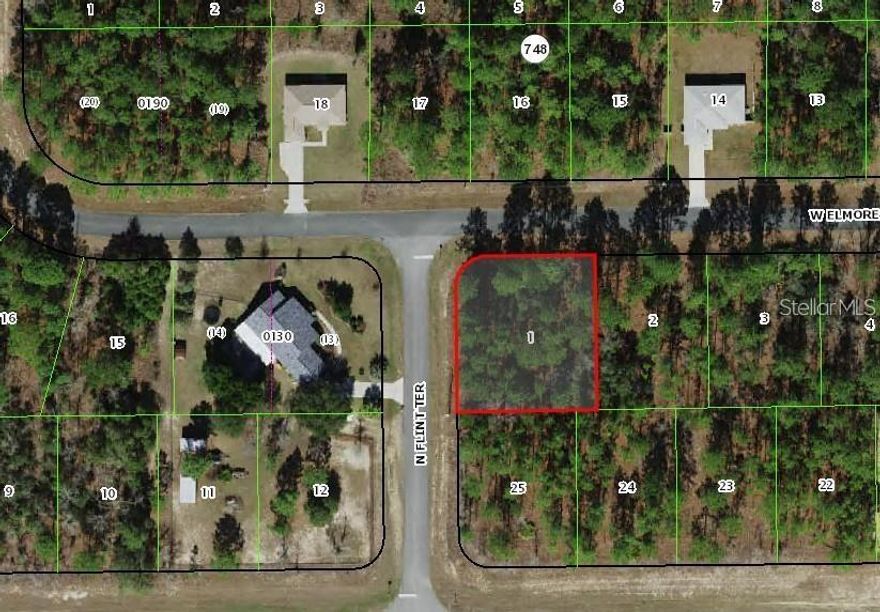 Welcome to your opportunity to own a piece of paradise in beautiful Citrus County! This vacant lot offers a blank canvas for you to build your dream home, nestled in one of Florida's most charming and sought-after communities. Design and construct your ideal home, don't miss out on this incredible opportunity to own a piece of Citrus County paradise. Schedule a viewing today and start envisioning the home of your dreams on this pristine vacant lot!