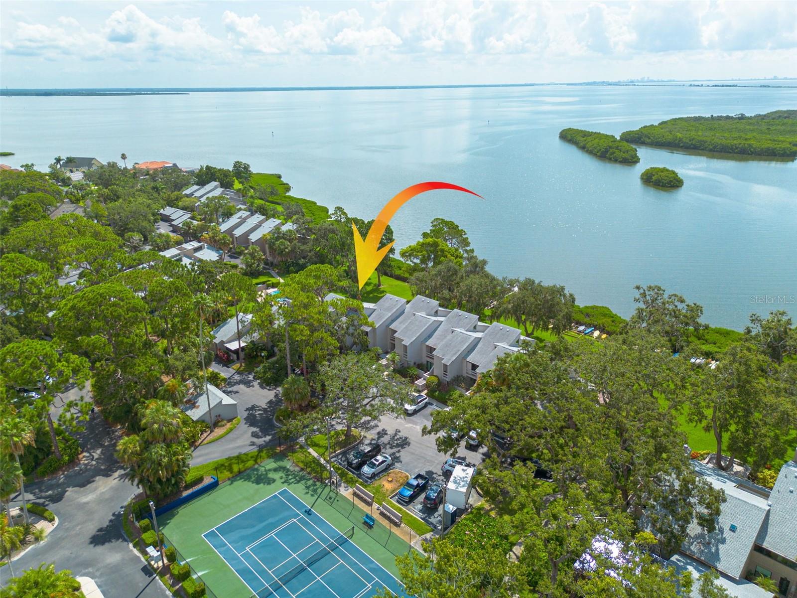 Wake up to shimmering bay views in this impeccably renovated 2-bedroom, 2-bath condo, superbly positioned on the water’s edge. Inside, easy care tile flooring runs throughout an open-concept living area that showcases an updated kitchen with granite countertops, custom wood cabinetry, and stainless-steel appliances. The serene primary suite offers a hurricane-rated sliding door that frames the water, while both bathrooms have been updated with timeless finishes. A brand-new HVAC system (2025) ensures comfort and efficiency year-round. Beyond your front door, the lifestyle is unbeatable. A community observation pier—recently rebuilt with low-maintenance composite decking—invites you to fish, watch dolphins, or simply relax. Check out Old Tampa Bay via a kayak just steps from the condo, and a sparkling pool and tennis/pickleball courts keep recreation close to home. Stroll to Cooper’s Bayou Park or the newly redesigned Del Oro Park, offering additional pickleball courts, a playground, and basketball courts. Cyclists and runners will love easy access to the Ream Wilson Trail, linking you to Safety Harbor and Tampa via the scenic Courtney Campbell Causeway. Hop on your golf cart for a quick ride to downtown Safety Harbor, where Main Street dining, boutique shopping, breweries, live music, and year-round festivals—including the Third Friday Street Festival and Sunday Farmers Market—await. The Safety Harbor Marina and world-renowned Safety Harbor Resort & Spa are minutes away.