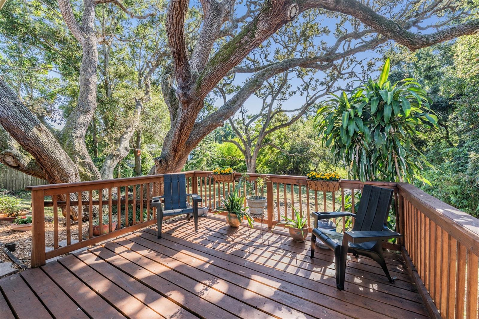 FOREST GROVE PH I - Residential