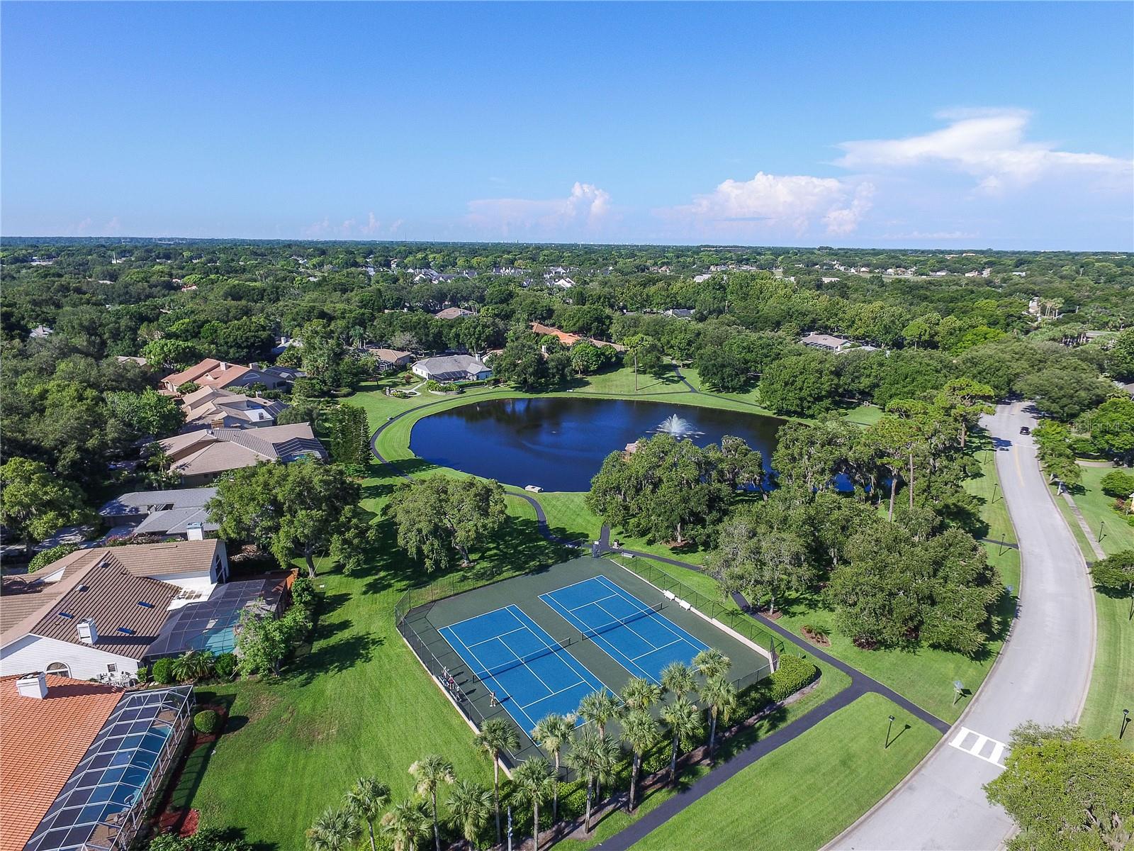 PINNACLE AT COBBS LANDING - Residential