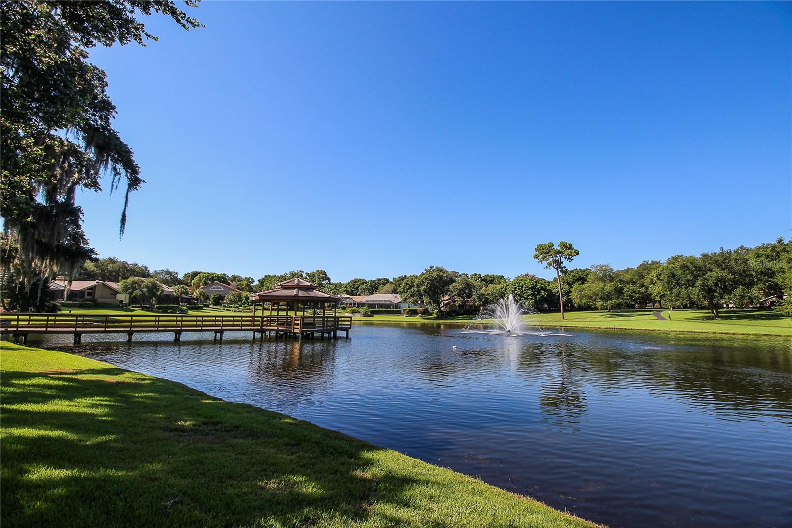 PINNACLE AT COBBS LANDING - Residential