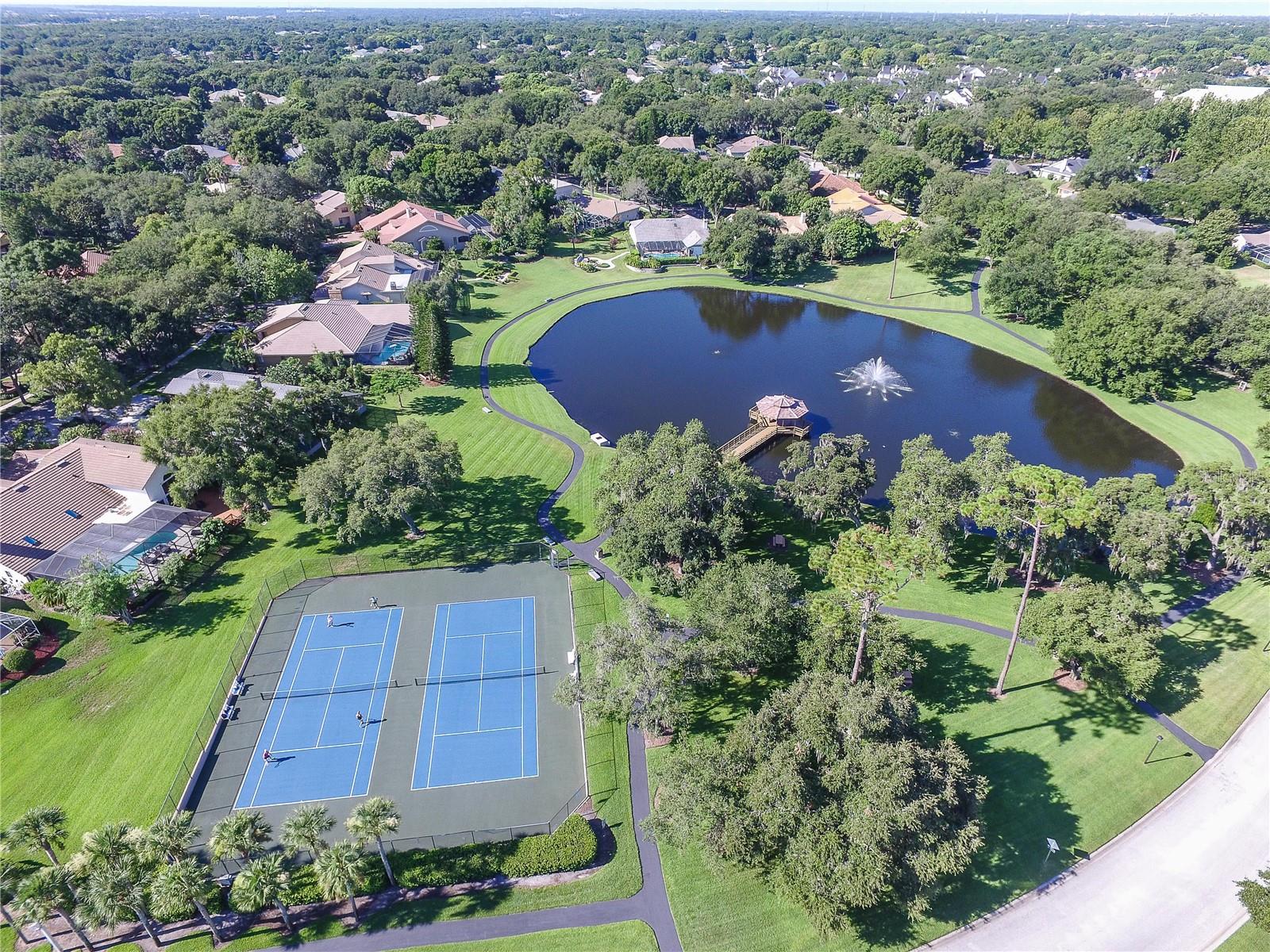 PINNACLE AT COBBS LANDING - Residential