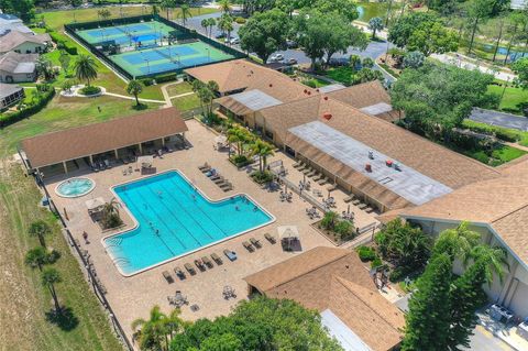 A home in PALM HARBOR