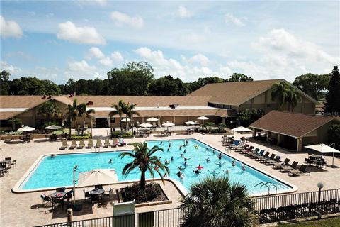 A home in PALM HARBOR