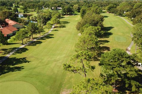 A home in PALM HARBOR