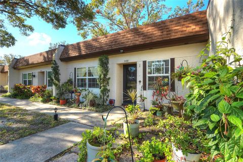 A home in PALM HARBOR