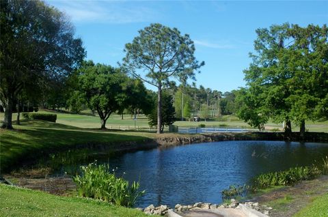 A home in PALM HARBOR