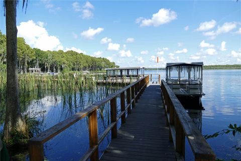 A home in PALM HARBOR