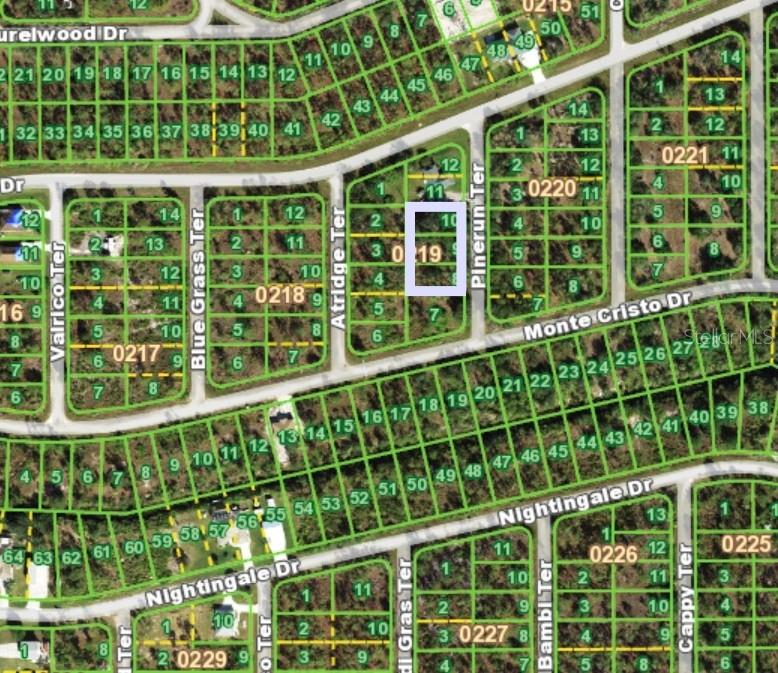 13263 PINERUN TERRACE
