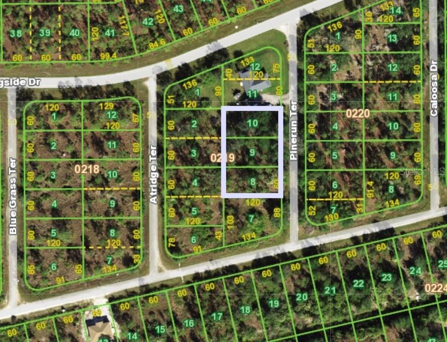 13263 PINERUN TERRACE