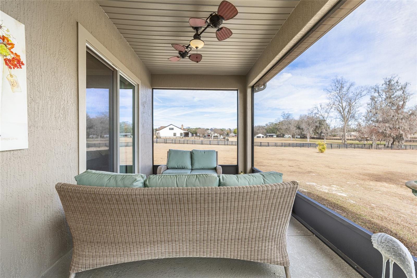 SPRING GROVE - Residential