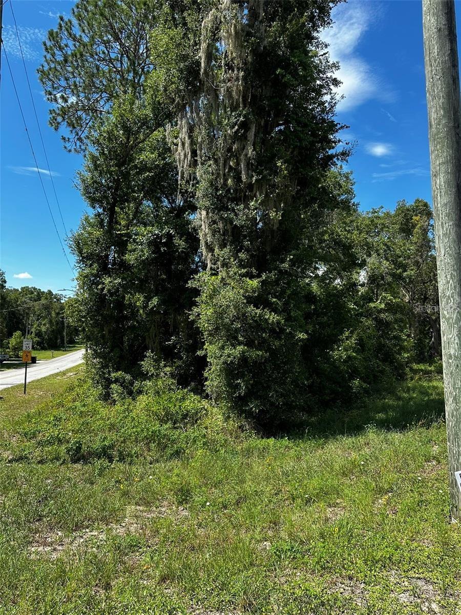 OAK FOREST ESTATES - Land