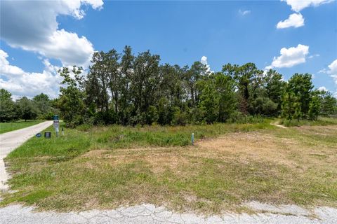 81 ZINNIA LN E POINCIANA FL 34759