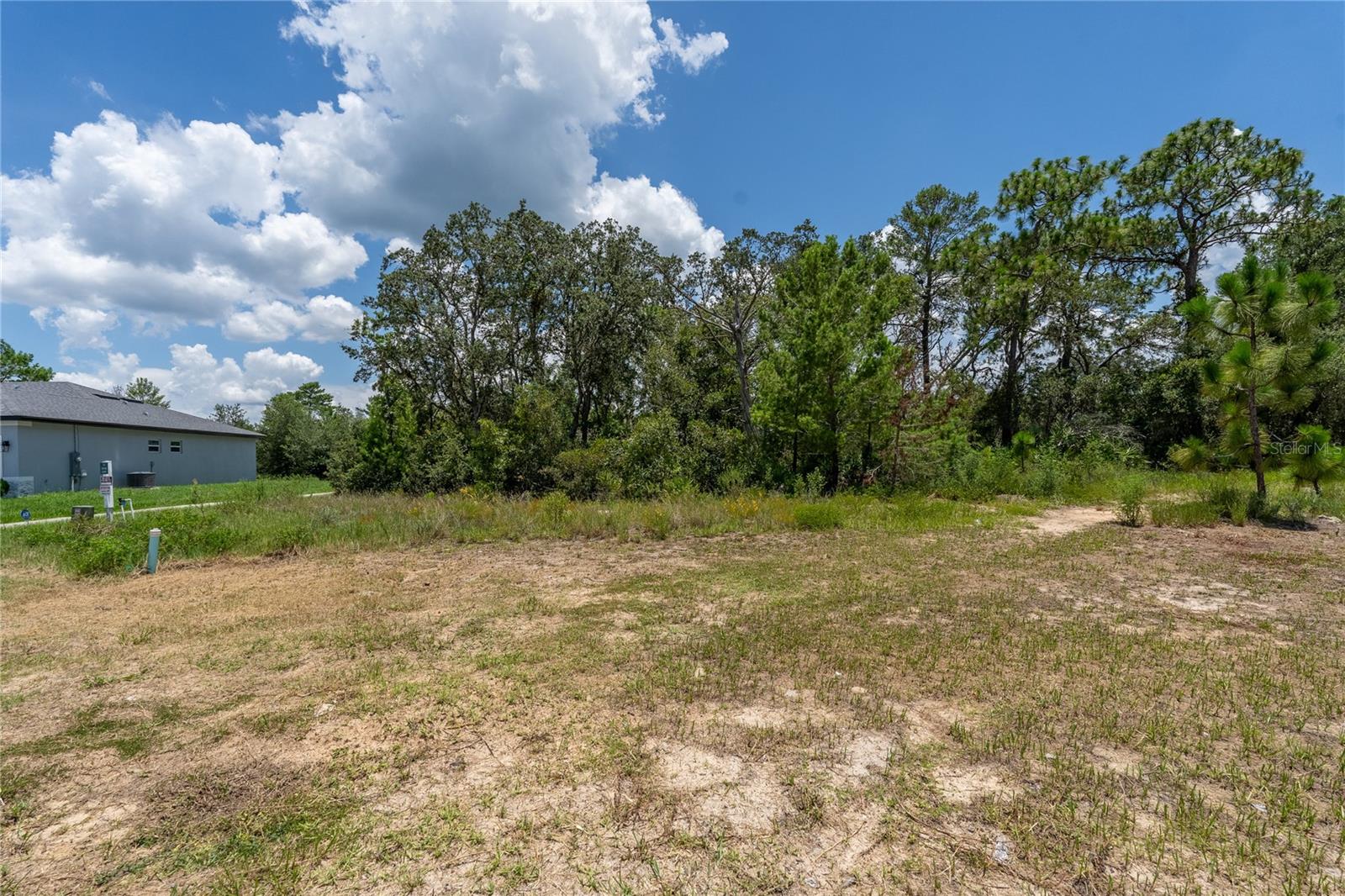 81 ZINNIA LN E
