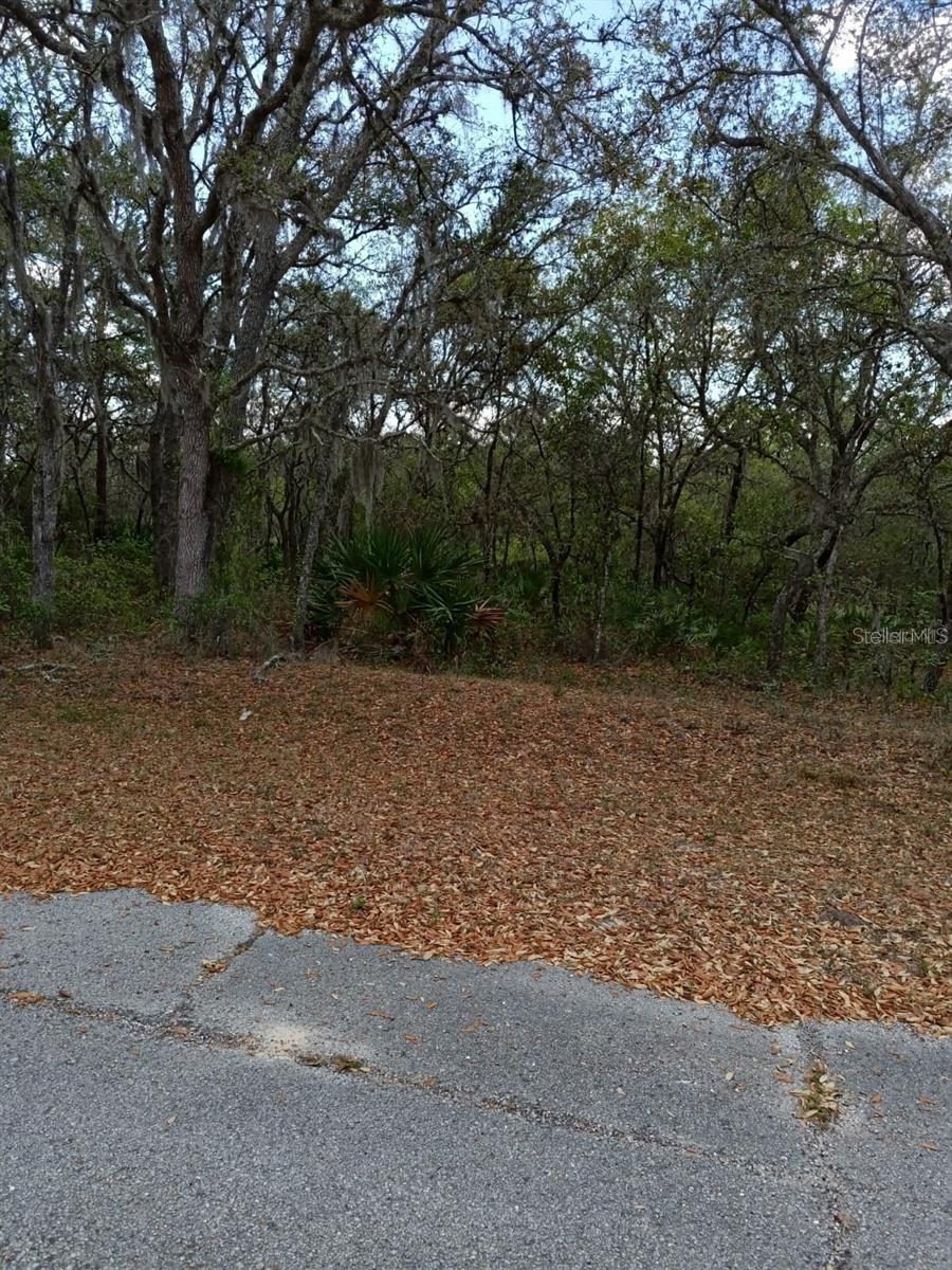Photo of 429 Naples Court, Kissimmee, FL 34759 (MLS # S5156198)