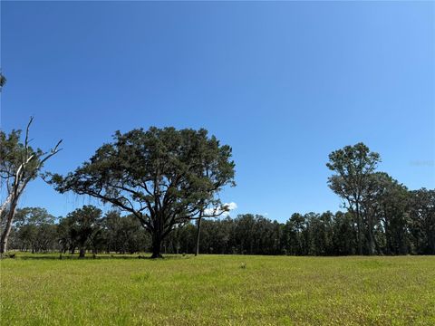 DO #6 (24ac) NW 193RD ST MICANOPY FL 32667