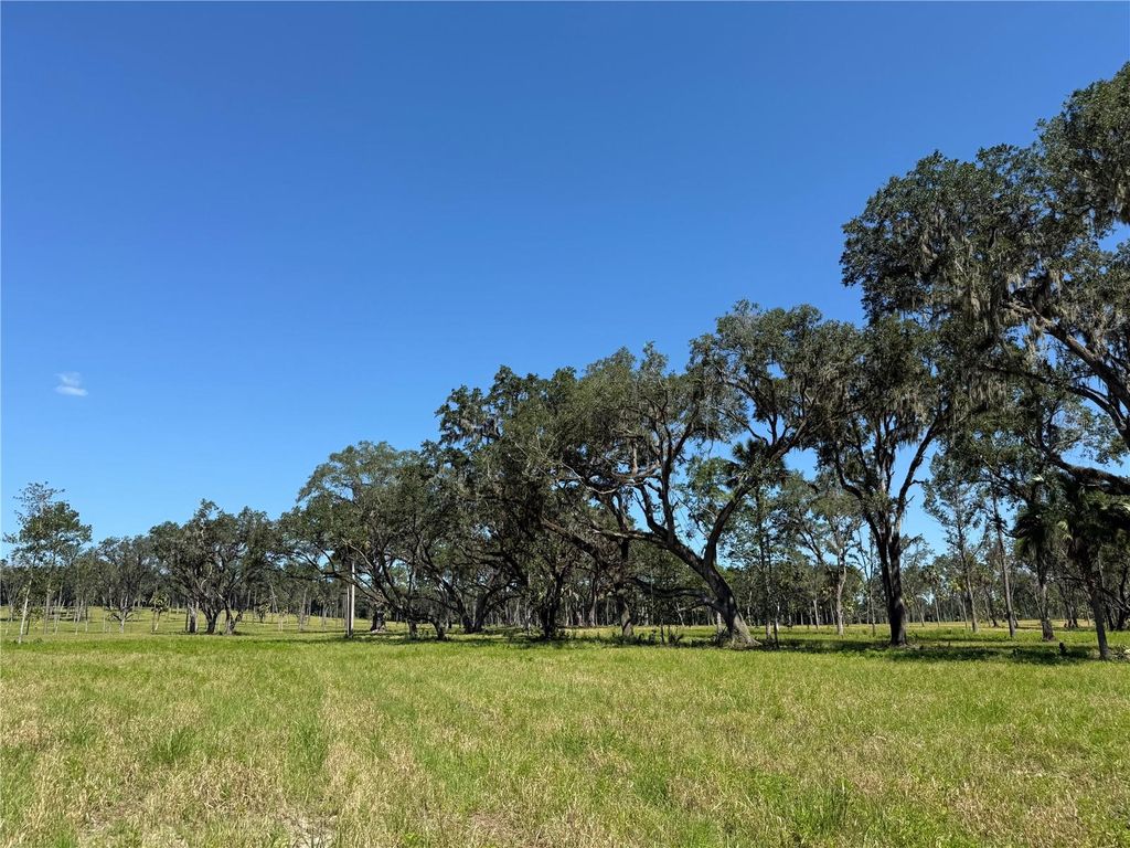 Photo of 6 NW 193rd St, Micanopy, FL 32667 (MLS # OM715404)