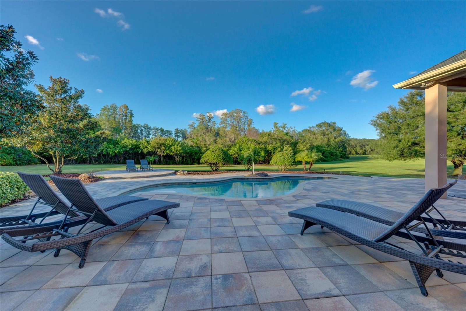 STEEPLECHASE - Residential