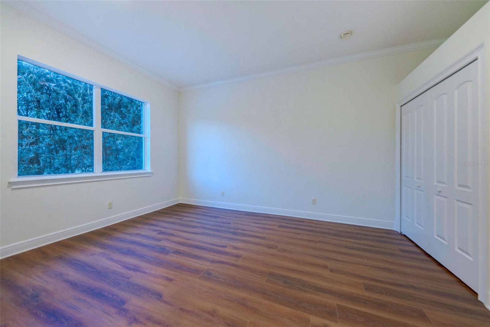 STEEPLECHASE - Residential