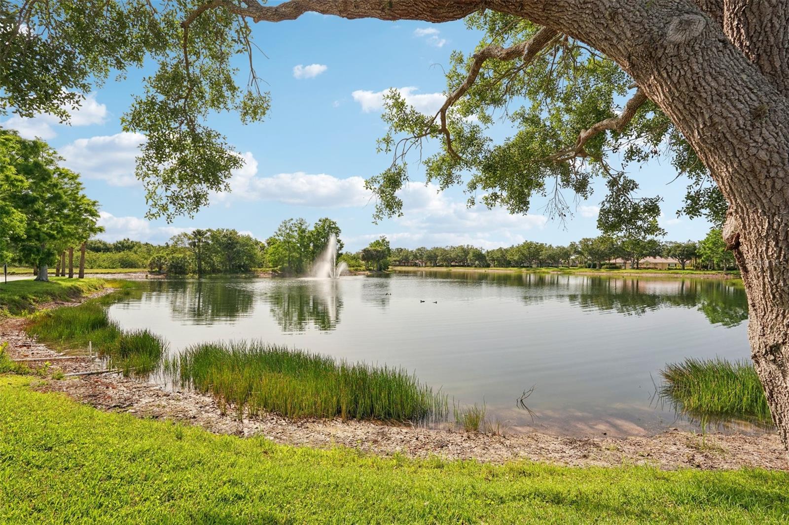 VILLAGEWALK - Residential