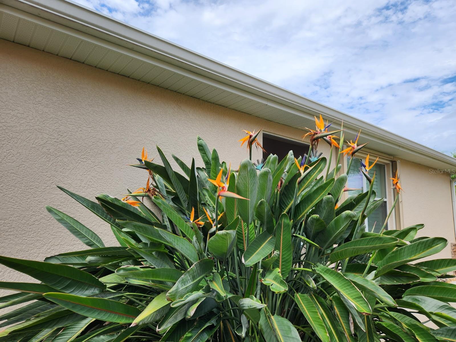 VENTURA VILLAGE - Residential