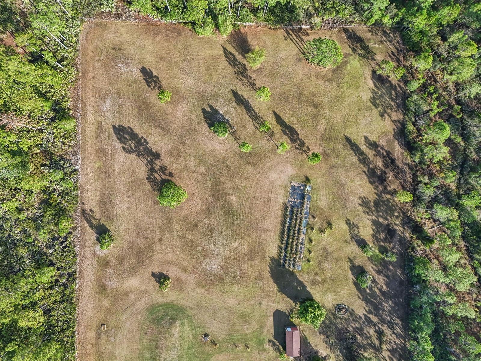 ROCKET CITYA - Residential