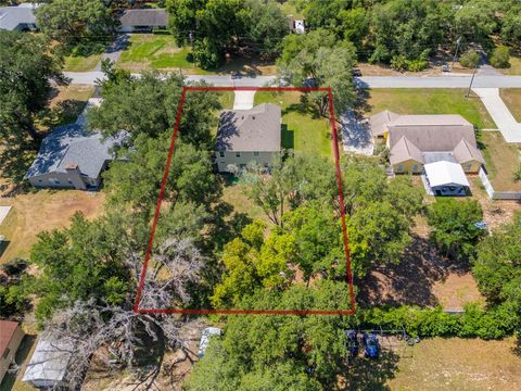 Tiny photo for 4331 Wayne Road, Fruitland Park, FL 34731 (MLS # S5150676)