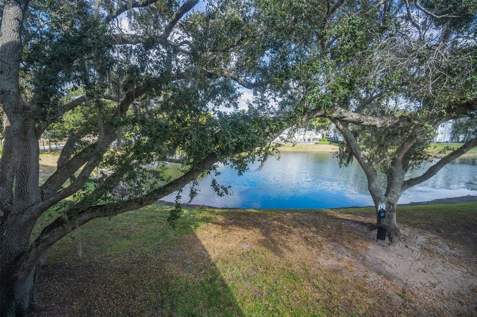 BENTLEY AT COBBS LANDING CONDO THE - Residential