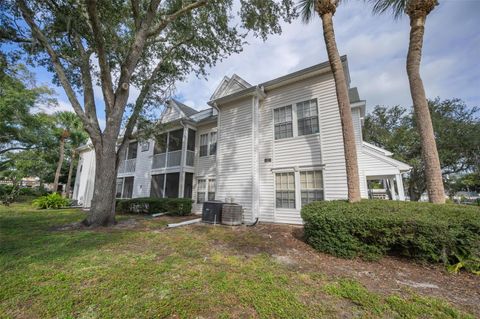 3261 HAVILAND COURT 203 PALM HARBOR FL 34684