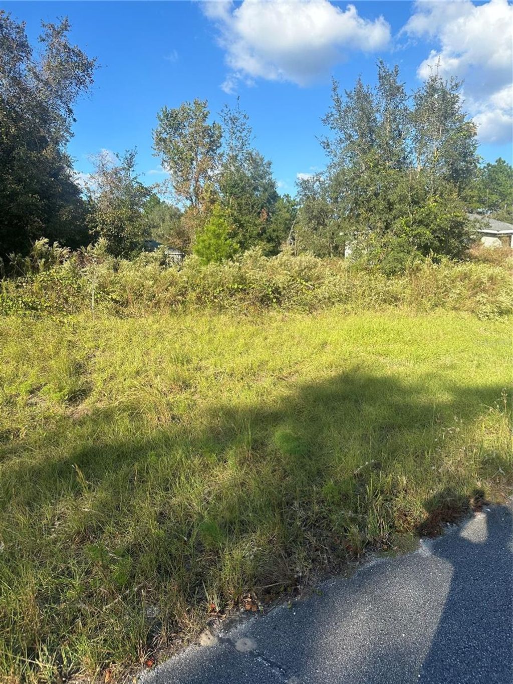 Photo of Undetermined Circle, Dunnellon, FL 34432 (MLS # S5114755)
