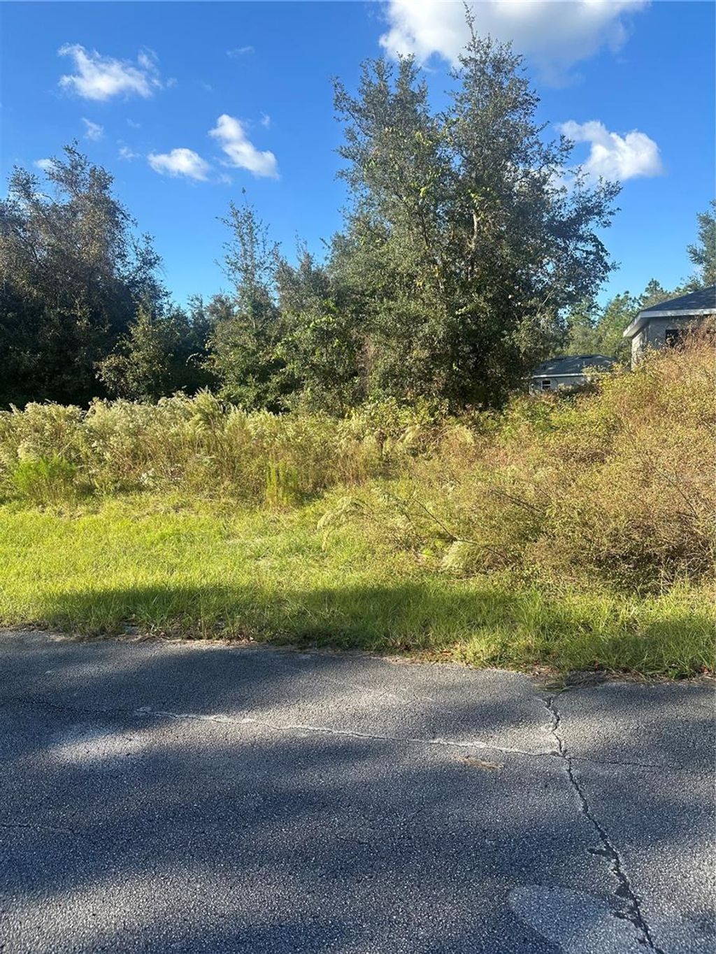 Photo of Undetermined Circle, Dunnellon, FL 34432 (MLS # S5114755)
