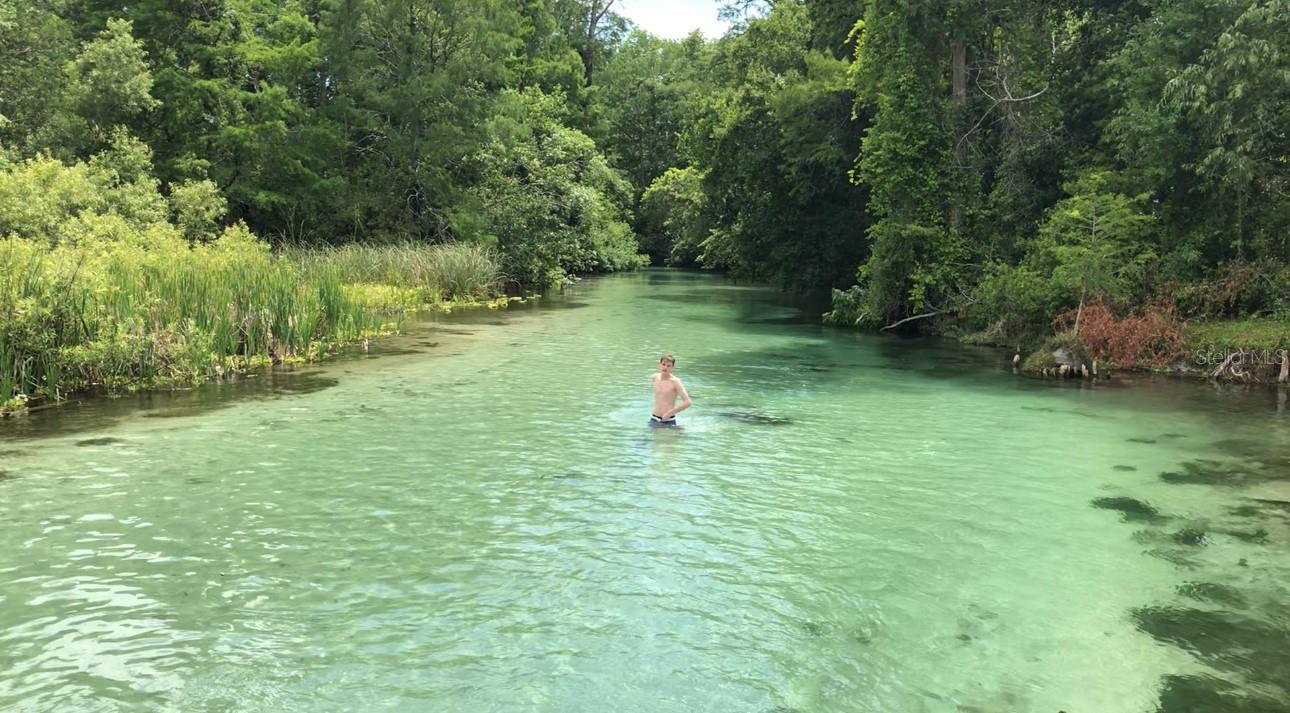 WEEKI WACHEE HILLS - Residential