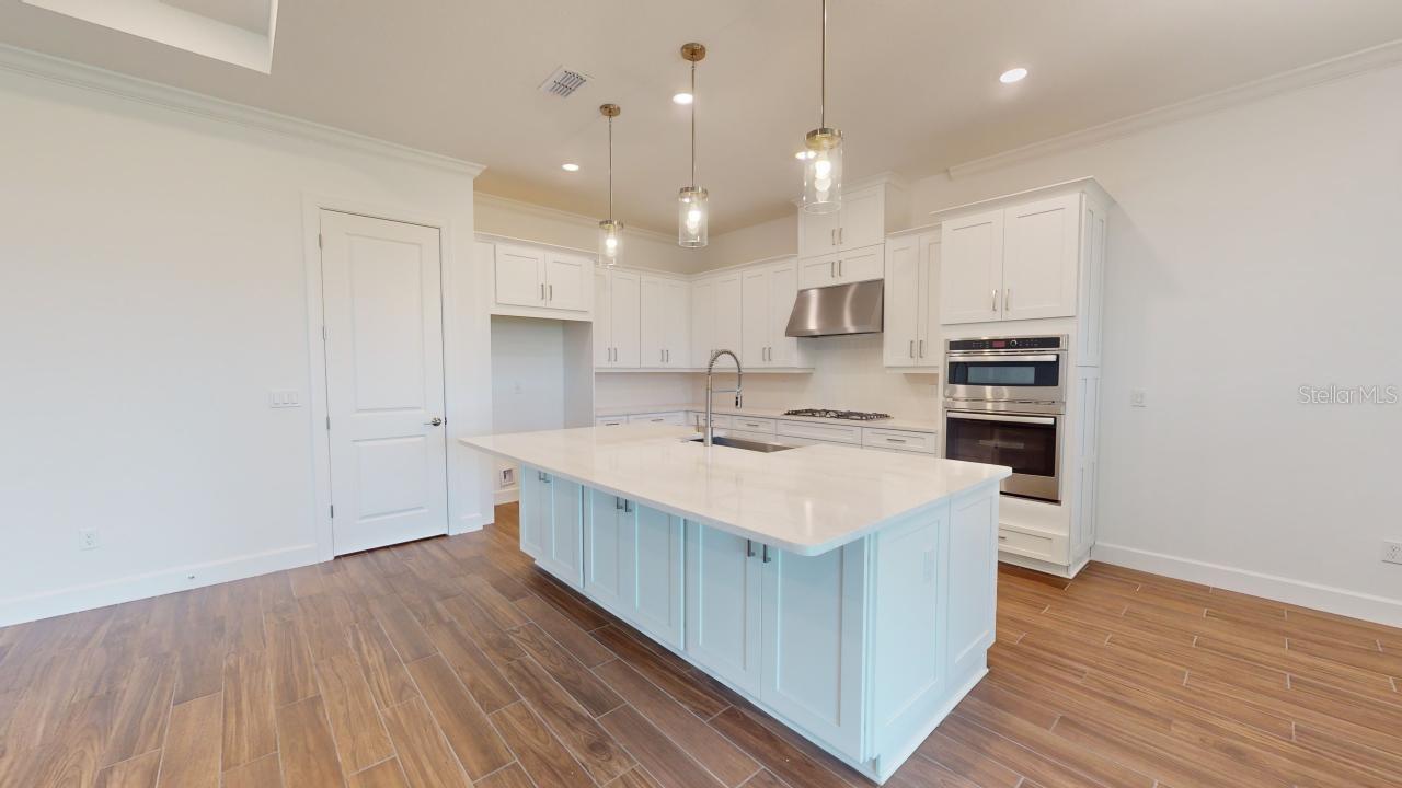 ESPLANADE AT WIREGRASS RANCH - Residential