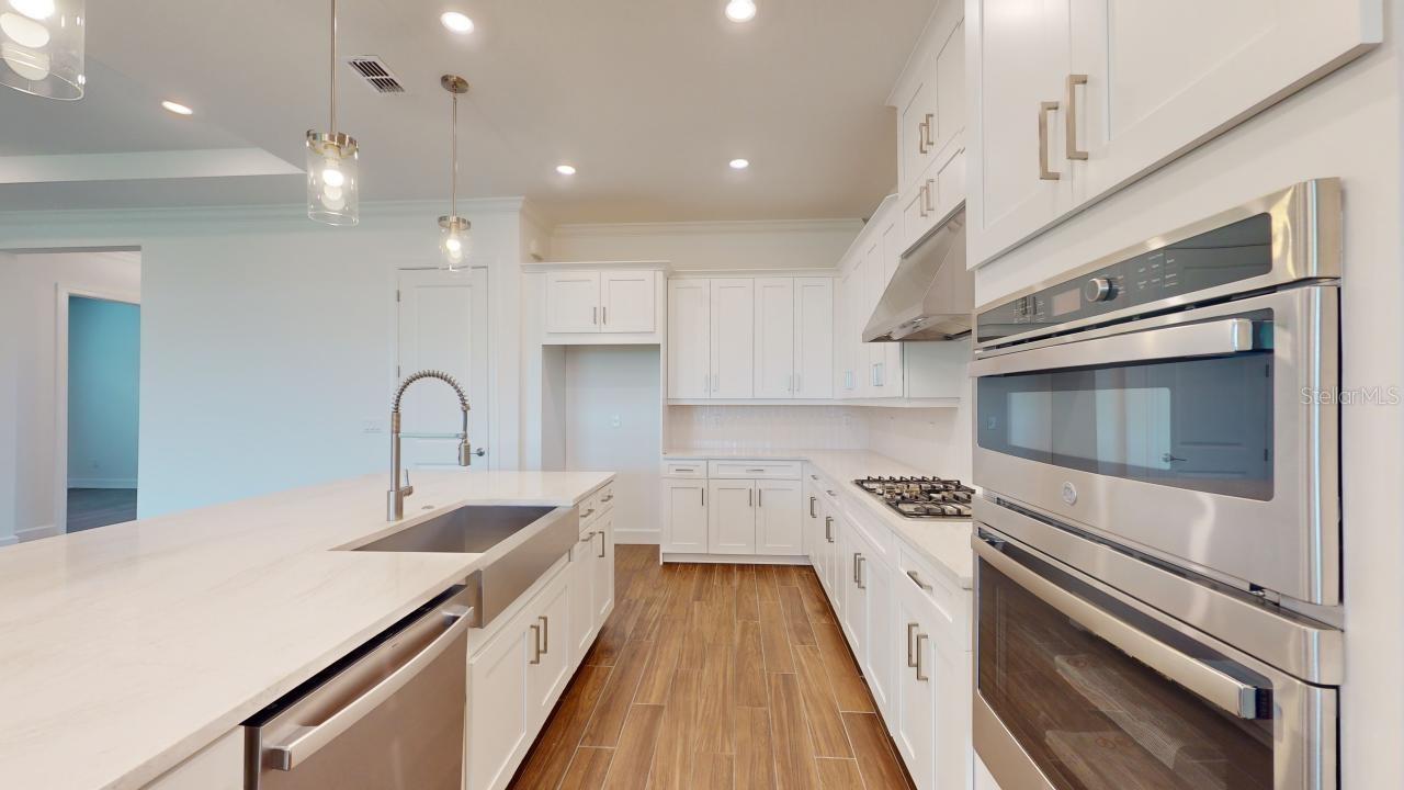 ESPLANADE AT WIREGRASS RANCH - Residential