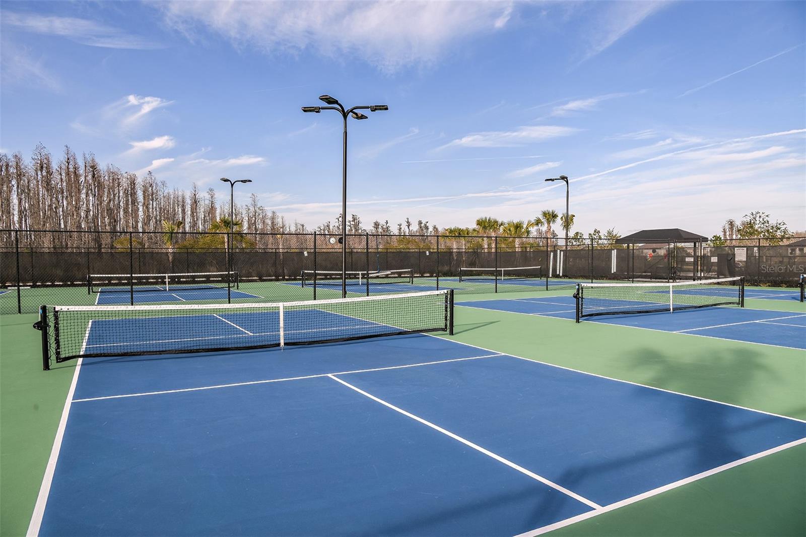 ESPLANADE AT WIREGRASS RANCH - Residential