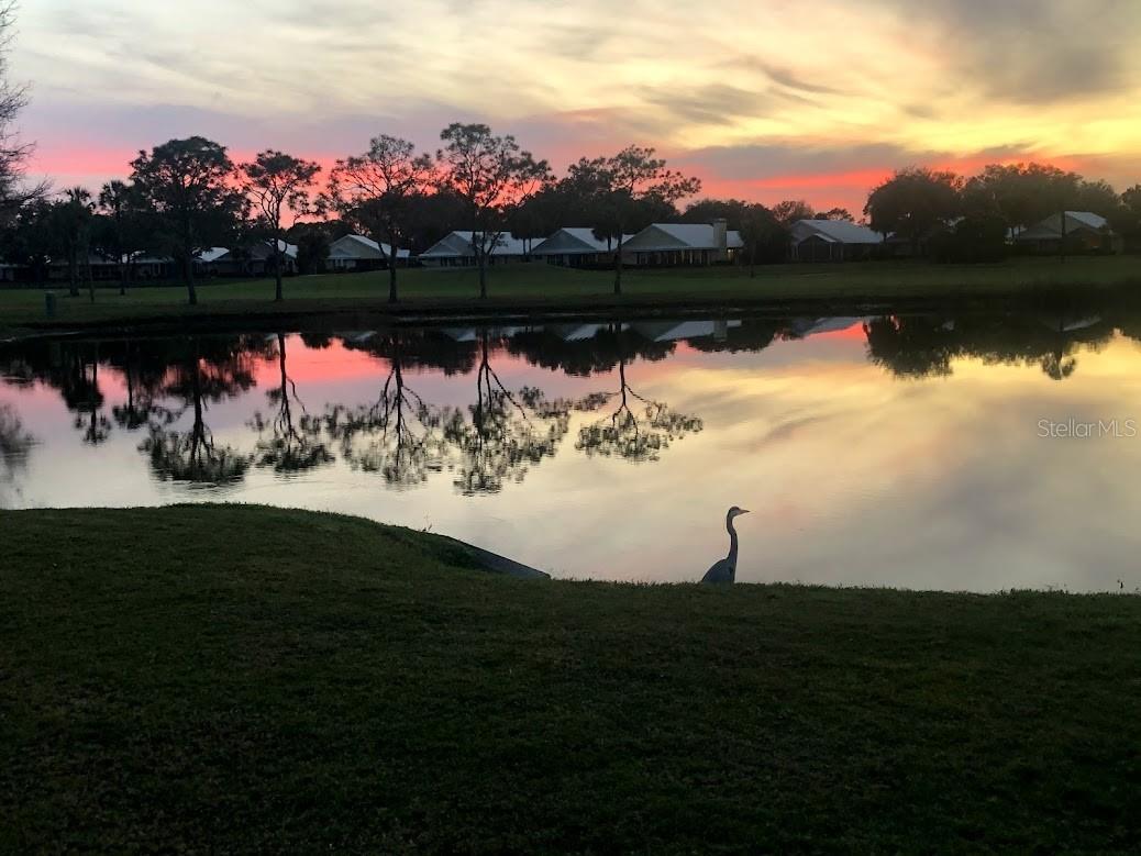 FARMINGTON VISTAS - Residential